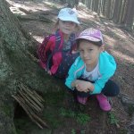 phoca_thumb_m_vp tvrt den 49 Fotogalerie